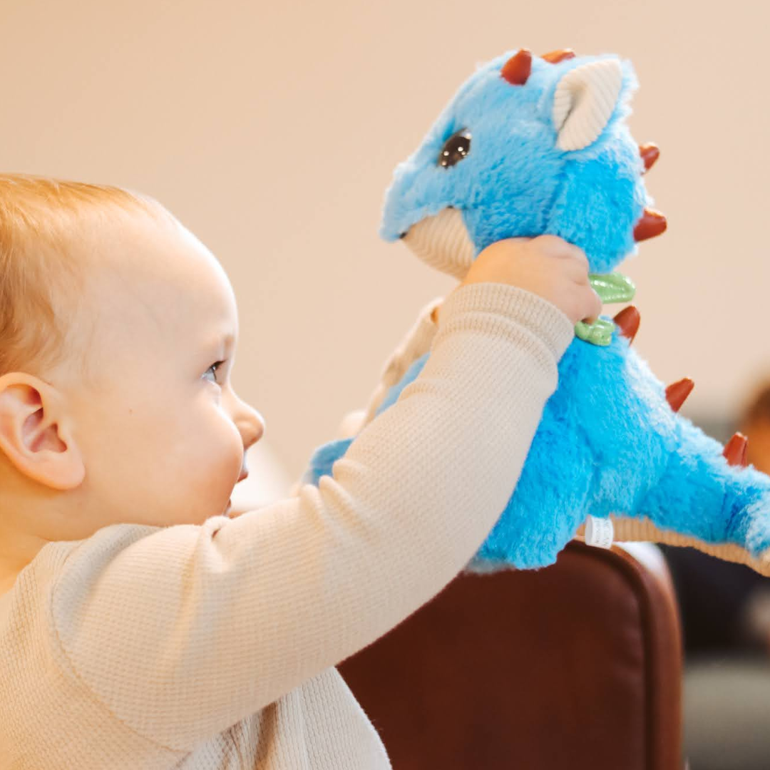 Plush and Finnegan the Singing Dragon - Hardback Book